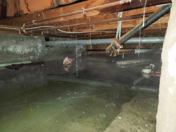 Best Flooded house restoration  in St James City, FL